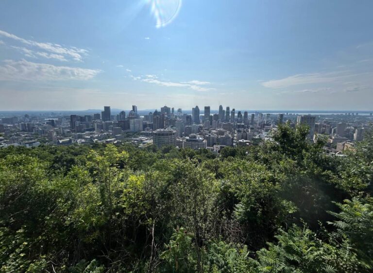 Things to Do in Montréal in 2 Days: Top Attractions & Hidden Bars