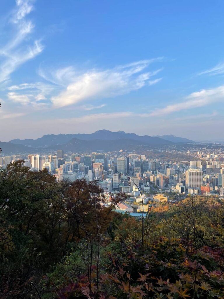 A stunning view of the Seoul city from N Seoul Tower