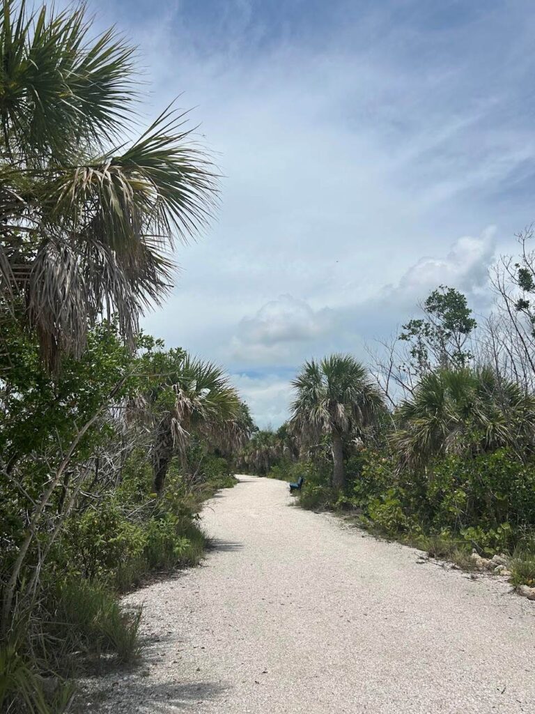 Mangrove-lined waterways inside J.N. Ding Darling National Wildlife Refuge