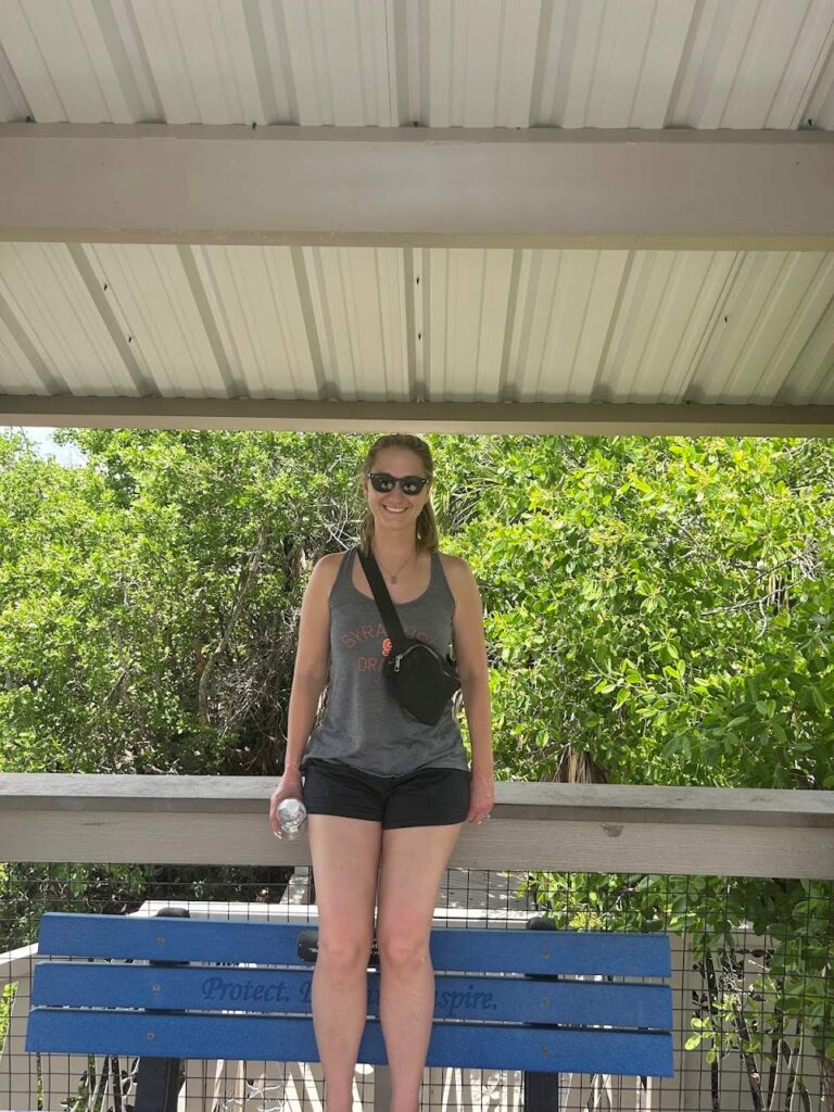 A blogger explains where to stay, what to do, and how to decide which area is best for your trip in Southwest Florida.