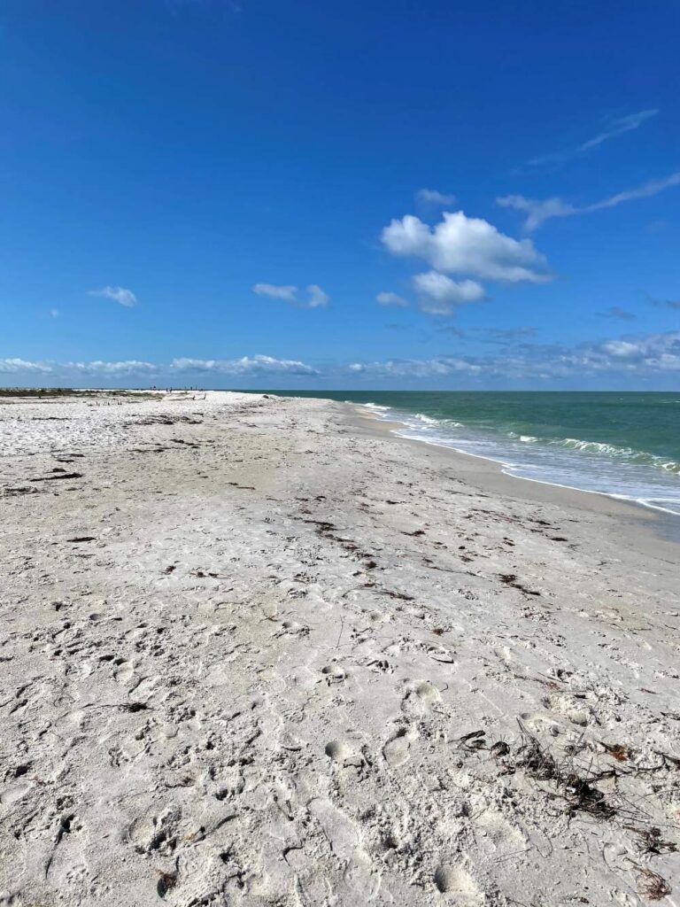 Tropical coastal landscape of North Captiva Island, Florida