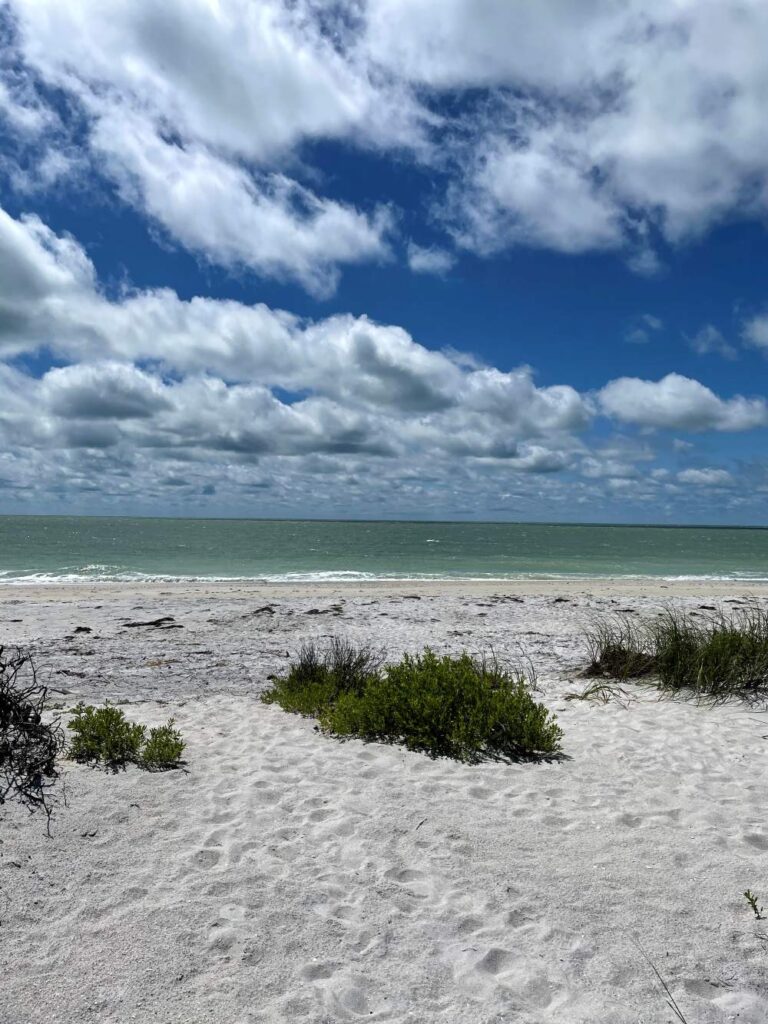 Secluded beach on North Captiva Island with soft sand and gentle waves