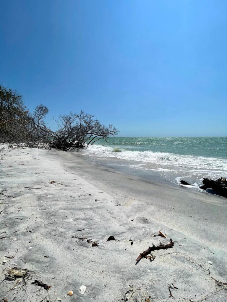 Relaxing beach day on North Captiva Island with minimal crowds