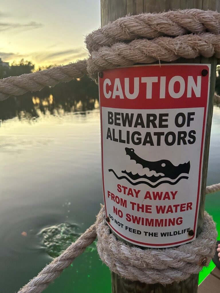 Alligator warning board at Bonta Spring Beach near Lively waterfront atmosphere at Coconut Jack’s Waterfront Grille