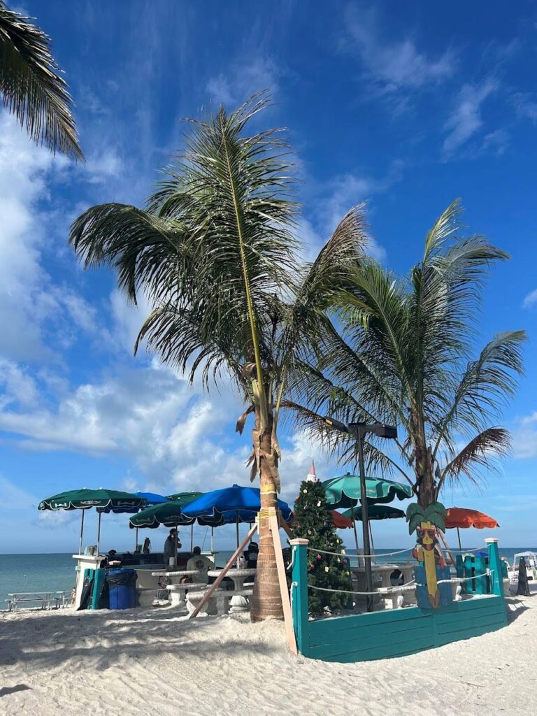 Beachfront dining at Doc’s Beach House with ocean views and casual vibe