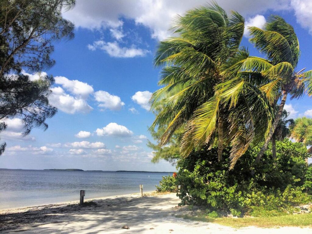 Lush tropical landscape in Fort Myers with clear skies and greenery visited on a Southwest Florida trip.