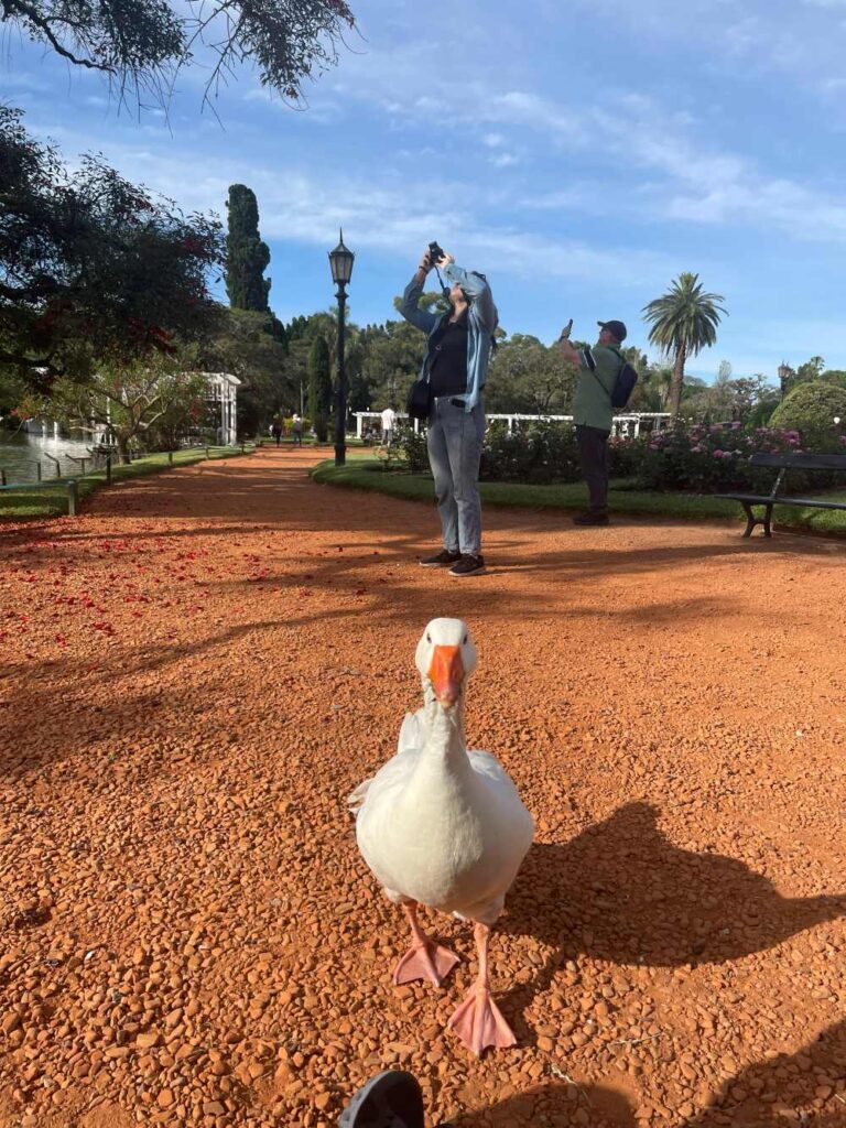 Visitors strolling through rose-lined pathways at Parque El Rosedal