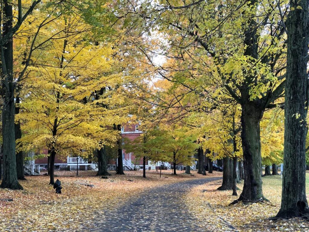 Quiet street lined with historic houses near Pike Road in Sackets Harbor
