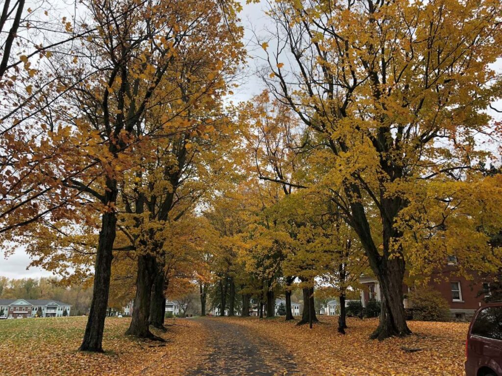 Charming historic neighborhood along Brady Road in Sackets Harbor, New York