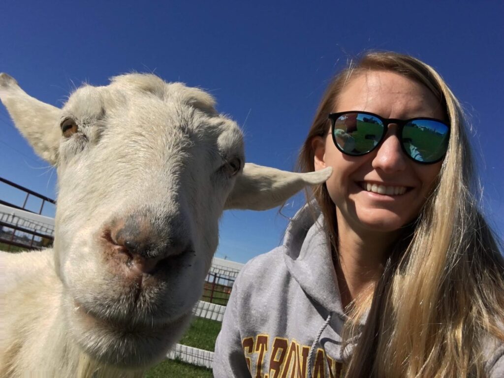Visitors enjoying hands-on animal experiences at Old McDonald's Farm in Sackets Harbor