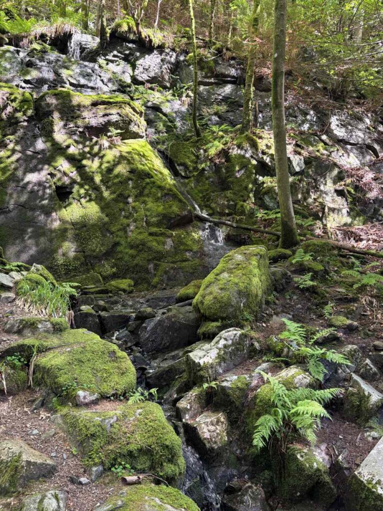 Rocky trail descending Mount Fløyen with sweeping city and fjord views