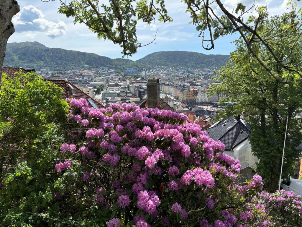 Spectacular hiking route from Mount Fløyen combining mountain forests, scenic overlooks, and breathtaking fjord views