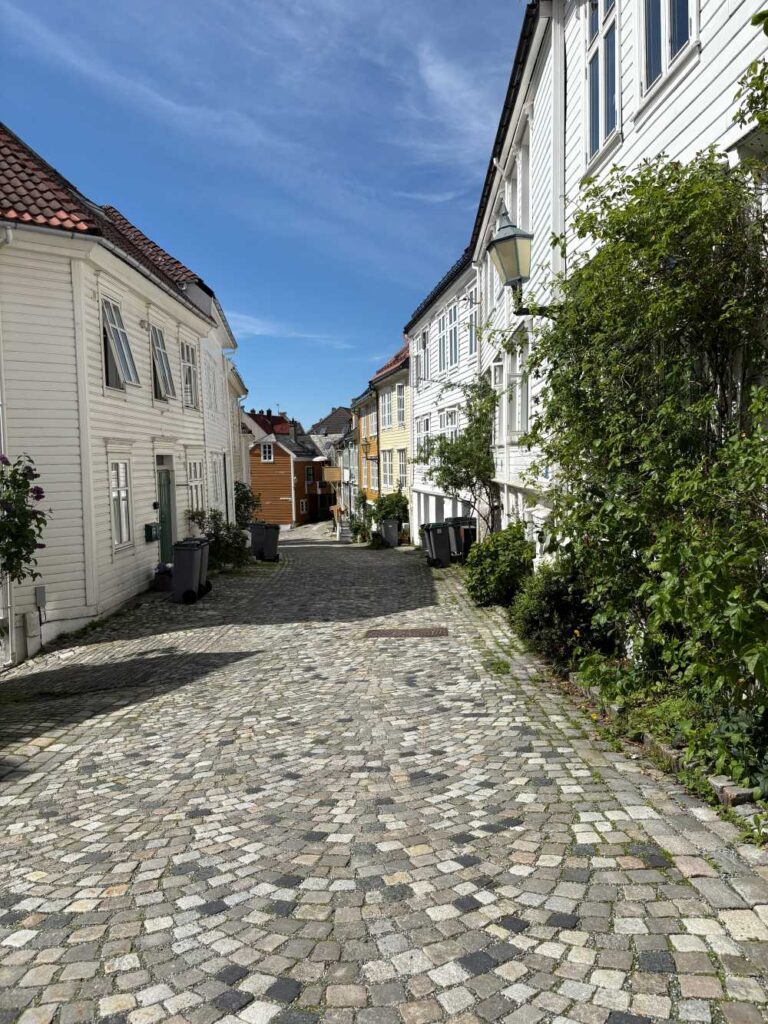 Picturesque cityscape of Bergen with historic buildings, fjords, and surrounding peaks