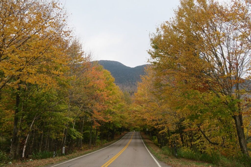 The famous Tree Tunnel at Smugglers’ Notch. visited on a road trip to Vermont in Fall