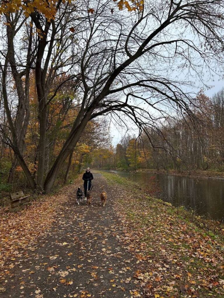 Colorful autumn trees lining the Erie Canal Trail near Syracuse.