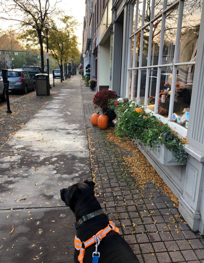 Halloween experience is a must to explore in Syracuse during fall.