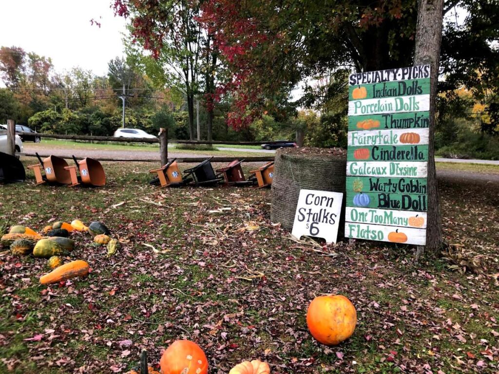 Pumpkin Hollow showcasing classic Syracuse autumn experiences and seasonal fun