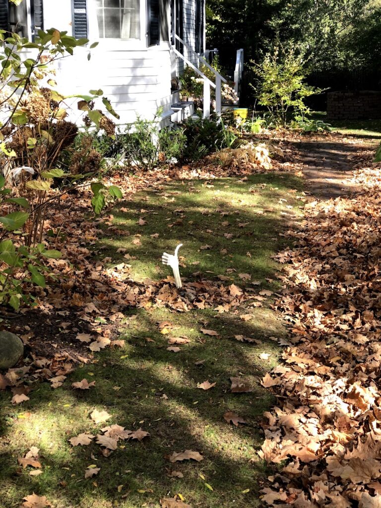 Charming Woodstock houses decorated for Halloween amid vibrant autumn foliage during Vermont in Fall