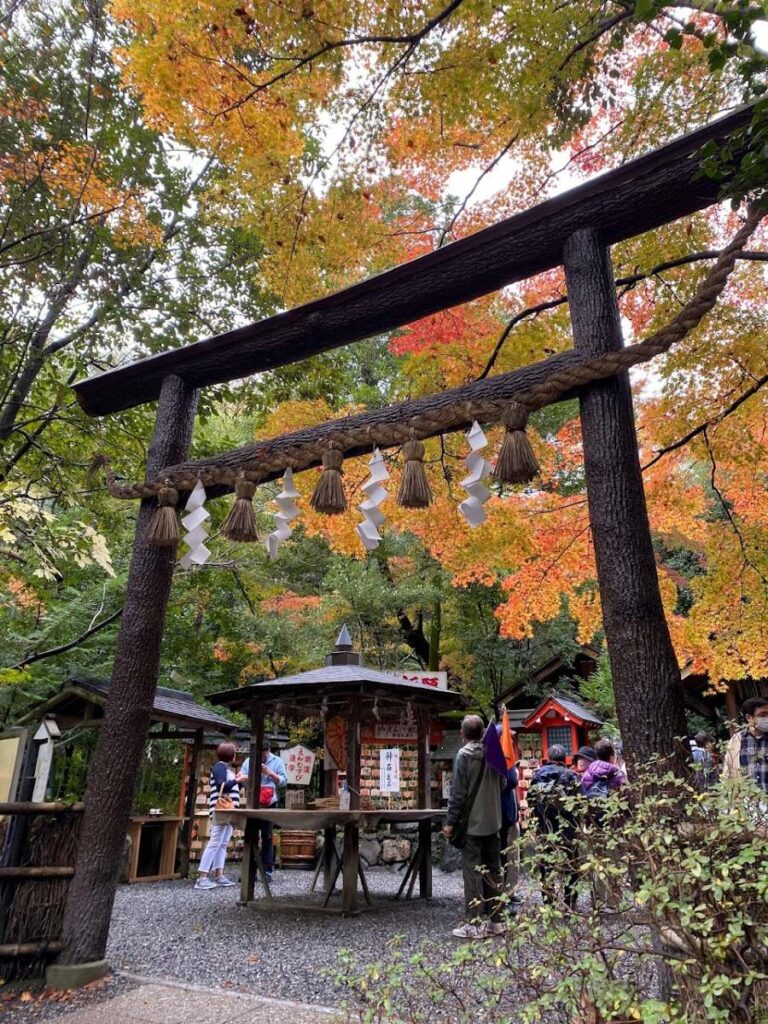Explore Arashiyama Bamboo Forest in Kyoto in fall, with autumn leaves adding warm color around the iconic bamboo paths.