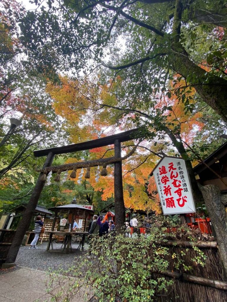 Walk through Arashiyama Bamboo Forest during fall in Kyoto, surrounded by towering bamboo and colorful seasonal foliage.