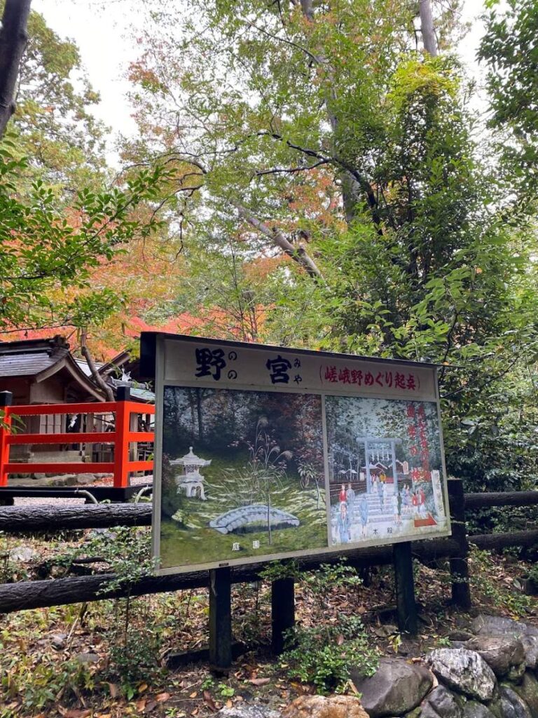 Discover Kyoto in fall at Arashiyama Bamboo Forest, a scenic spot where lush bamboo contrasts with brilliant autumn leaves.