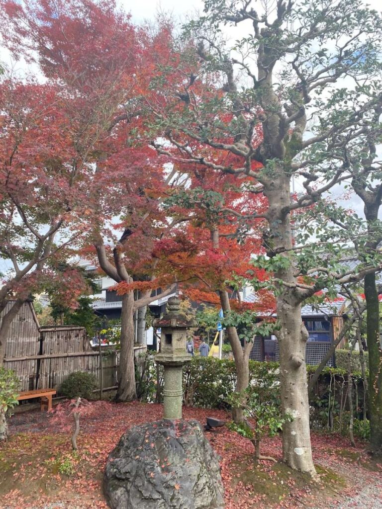 Kyoto in fall at Kiyomizu-dera reveals brilliant autumn foliage, sweeping city views, and one of Kyoto's most famous temples.