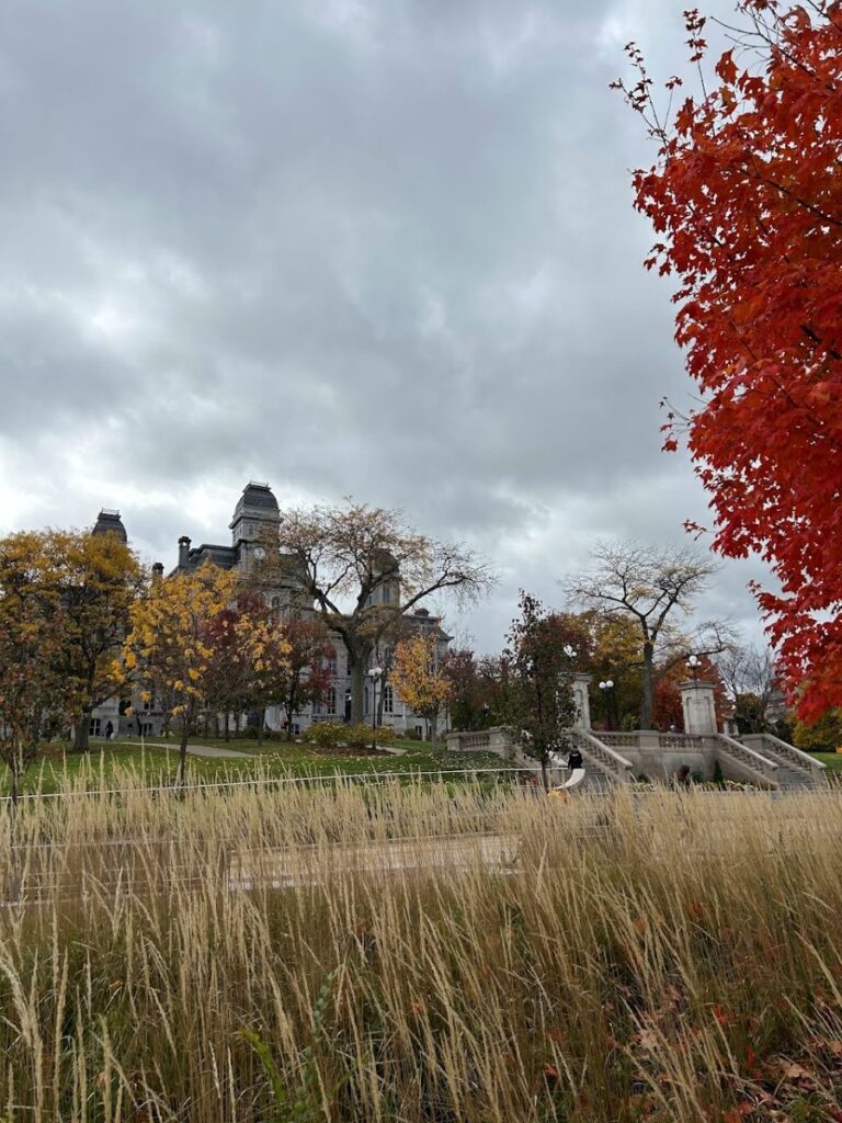 Syracuse University combining college football and fall scenery in Central New York.