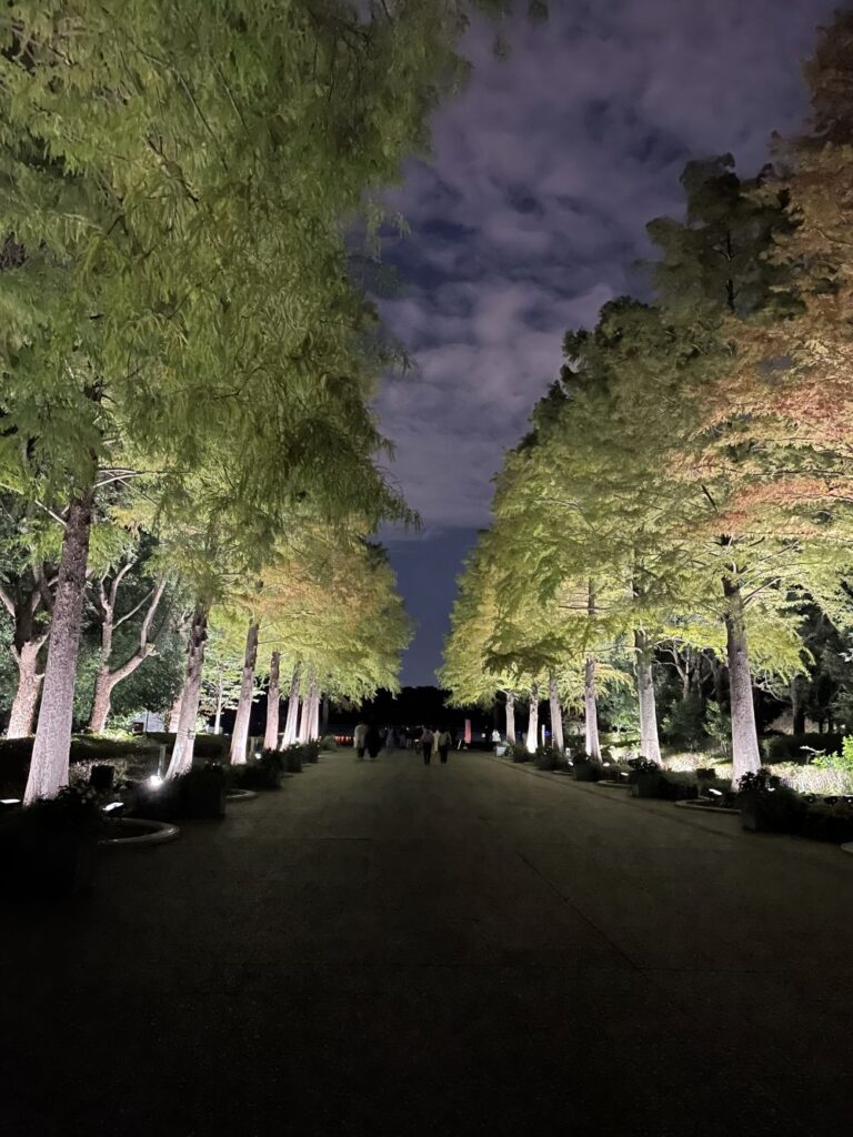 teamLab Botanical Garden Osaka at night featuring glowing installations, illuminated trees, and immersive digital art
