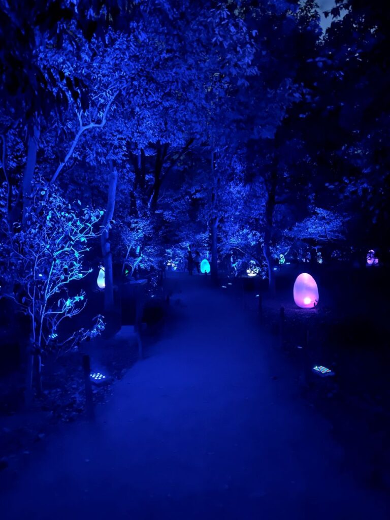 Colorful digital lights illuminating trees and plants at teamLab Botanical Garden Osaka during an evening visit