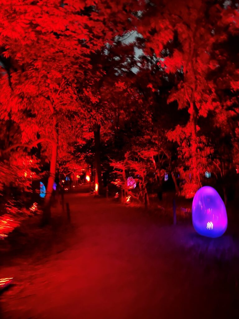 Nighttime view of teamLab Botanical Garden Osaka with glowing digital artworks integrated into the natural garden surroundings