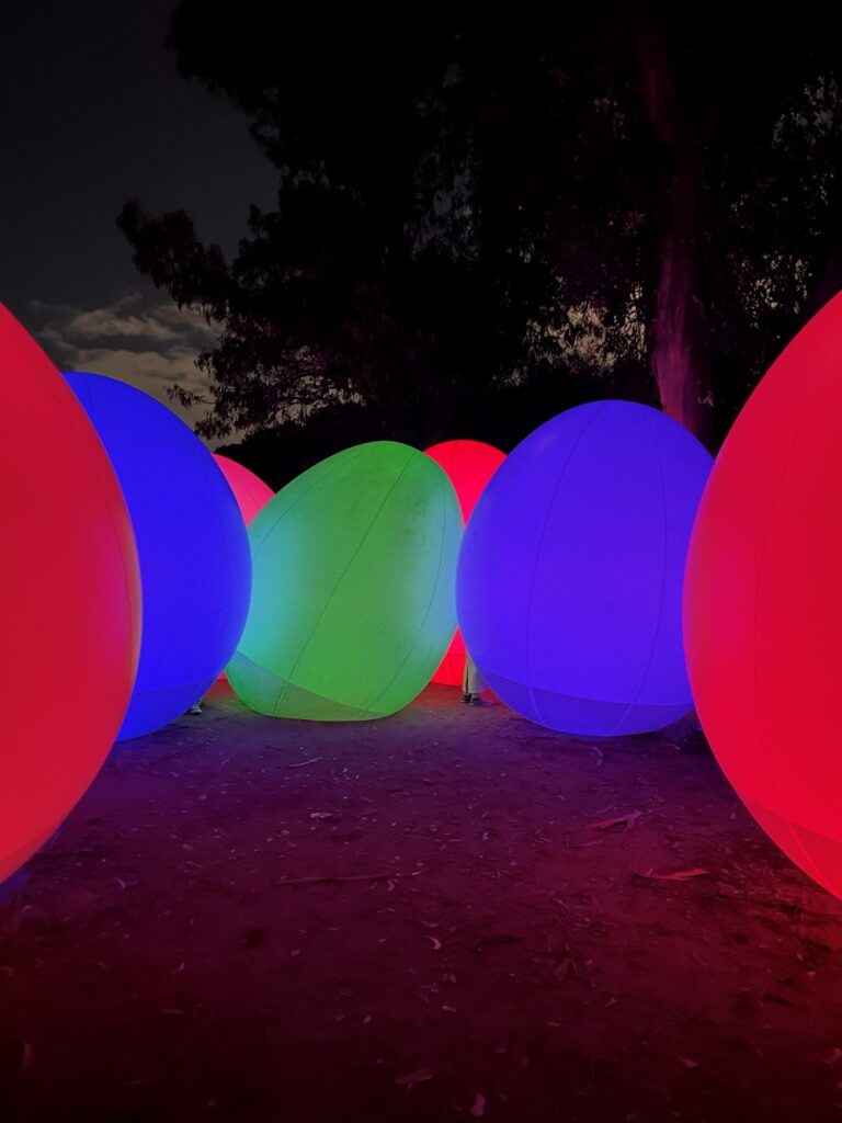 Visiting teamLab Botanical Garden Osaka at night, with vibrant light installations illuminating the botanical garden in Osaka, Japan