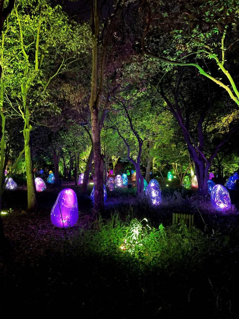 Exploring teamLab Botanical Garden Osaka after dark, where interactive lights transform the garden into an immersive art experience