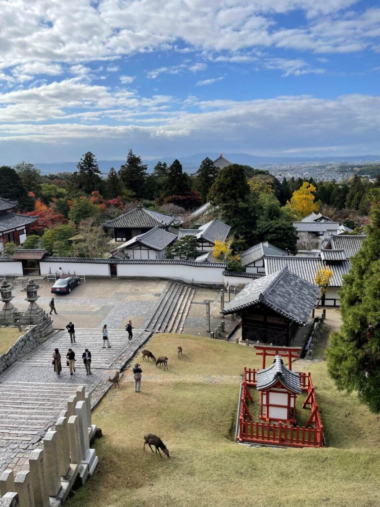 Traditional Japanese scenery in Nara Park during a Day Trip From Osaka, with deer and historic temples nearby