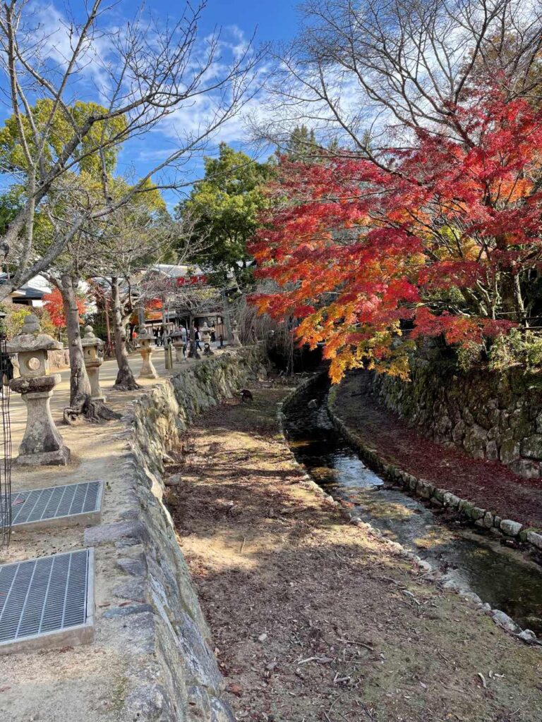 Miyajima in Japan with Mount Misen, traditional architecture, and the peaceful Seto Inland Sea